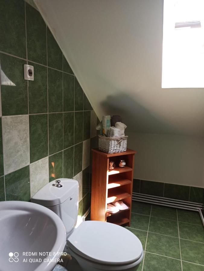 Vila Calix Băile Govora エクステリア 写真