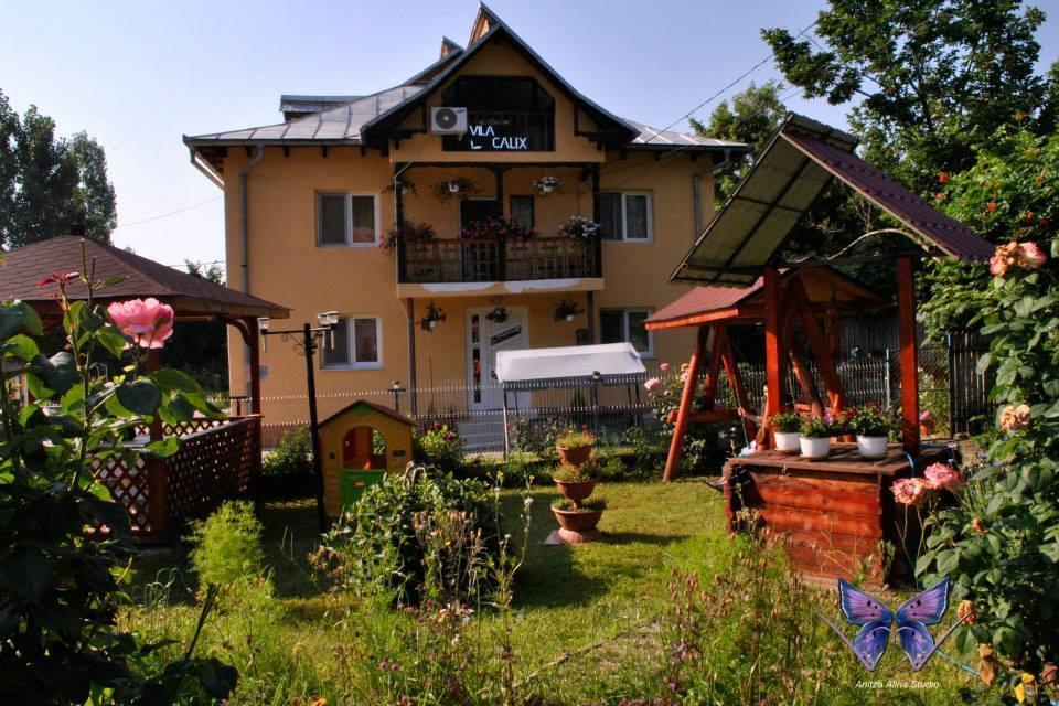 Vila Calix Băile Govora エクステリア 写真