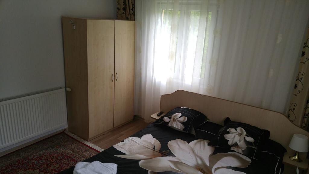 Vila Calix Băile Govora エクステリア 写真