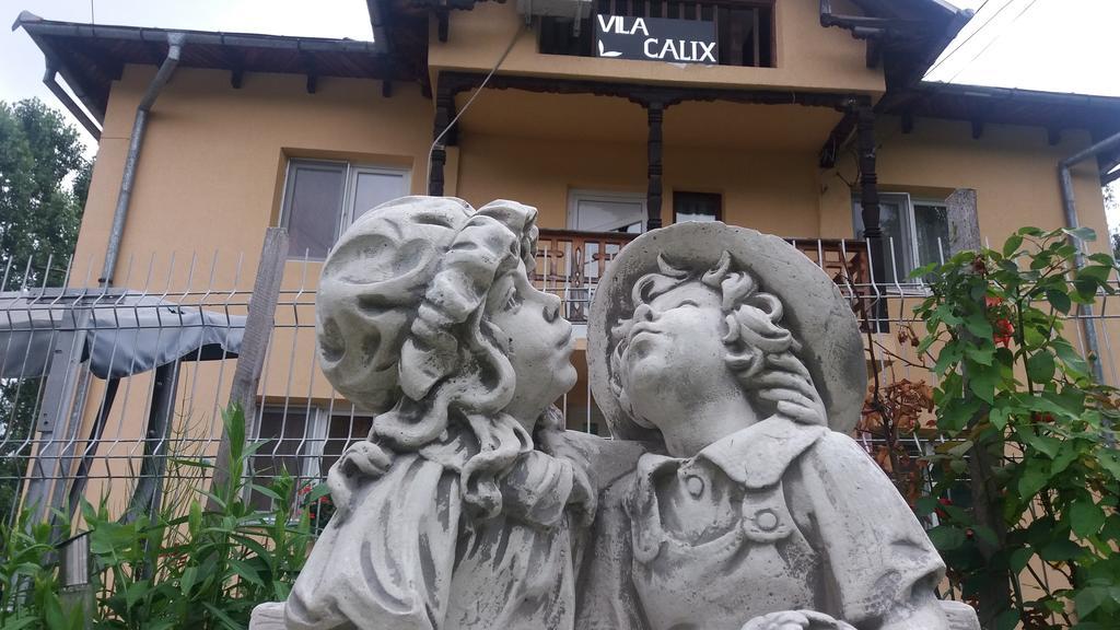 Vila Calix Băile Govora エクステリア 写真