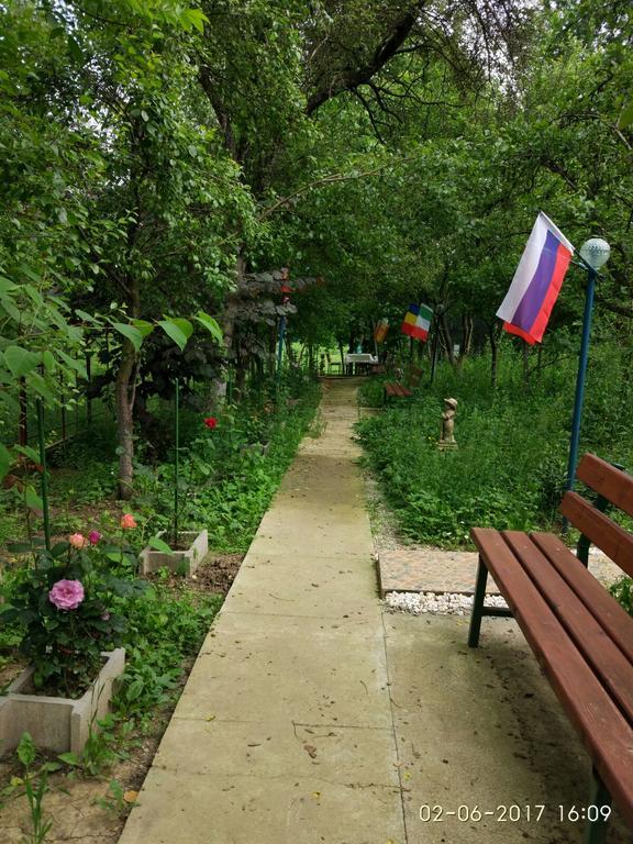 Vila Calix Băile Govora エクステリア 写真