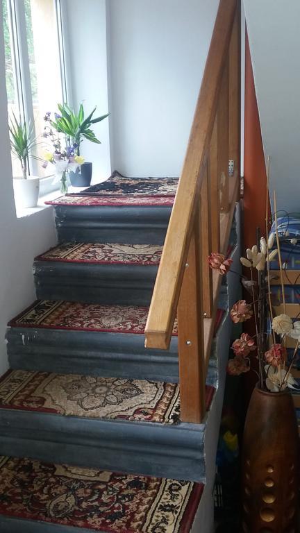 Vila Calix Băile Govora エクステリア 写真